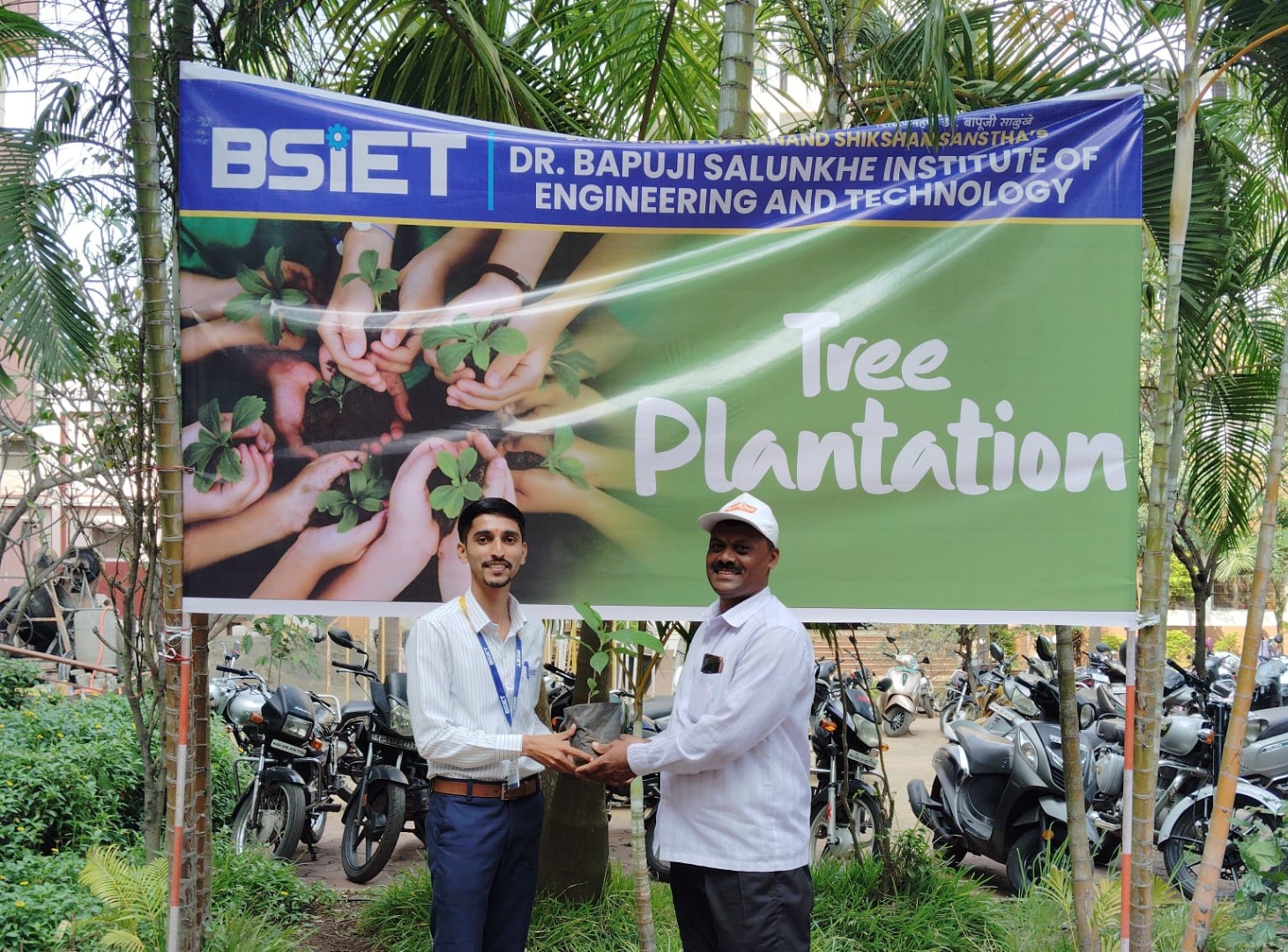 Tree Plantation